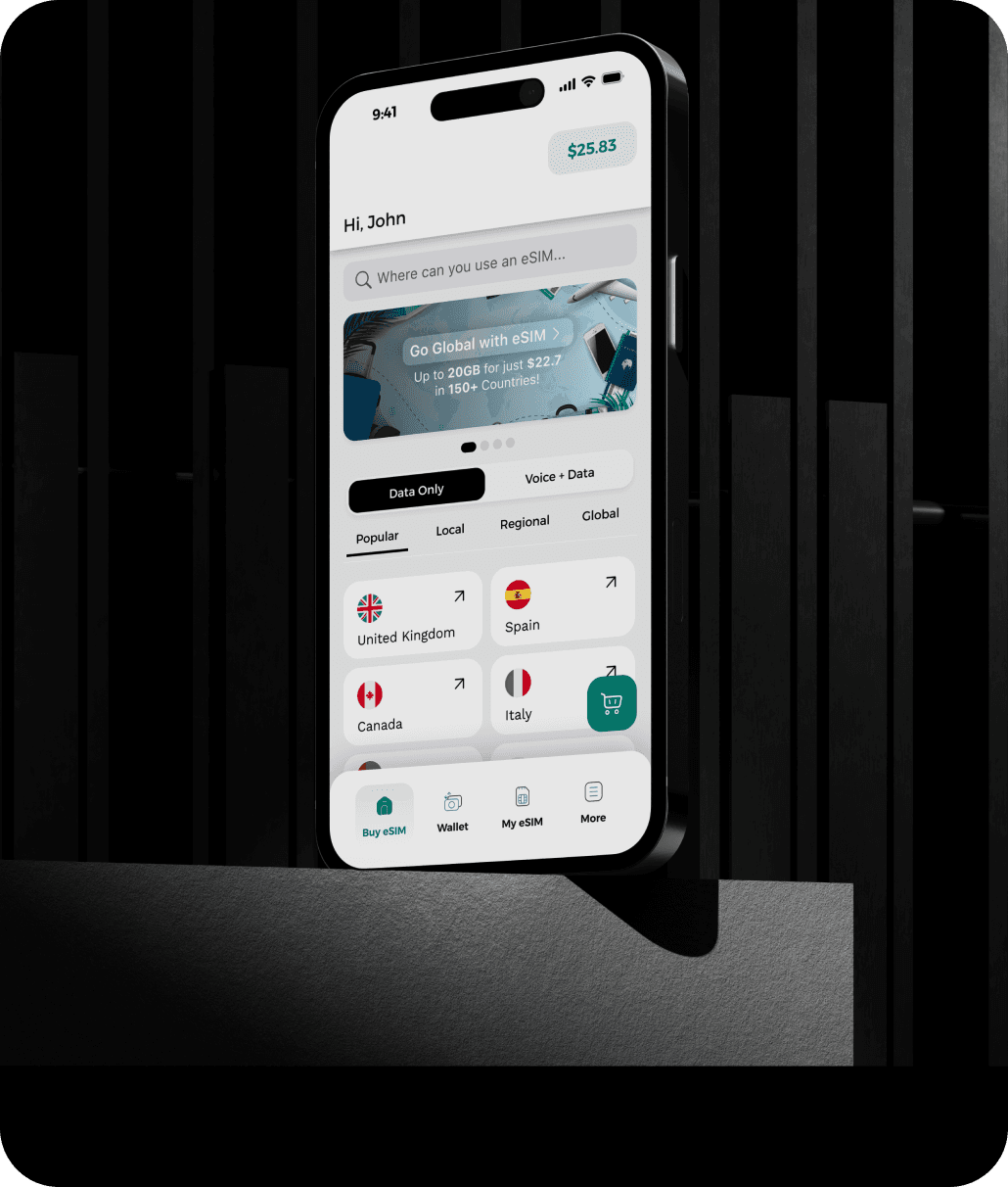eSIM Card We Connect You Globally